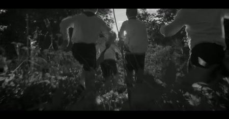 Świt (2016)