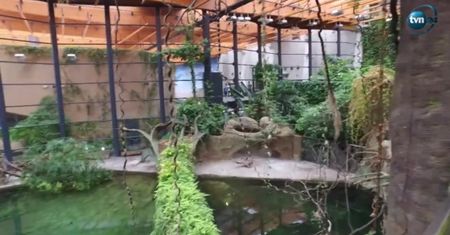 Zoo we Wrocławiu z rekordową frekwencją