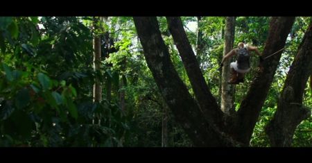 xXx: The Return of Xander Cage (2016)