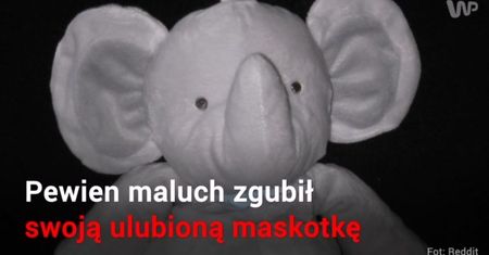 Mały chłopiec zgubił swojego słonia. Internauci wysłali go w podróż dookoła świata