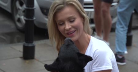 Joanna Krupa maszerowała z psami
