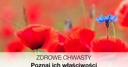 Zdrowe chwasty