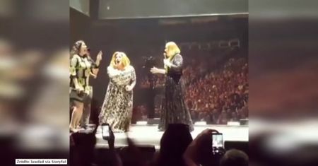 Adele zaprosiła na scenę sobowtóra