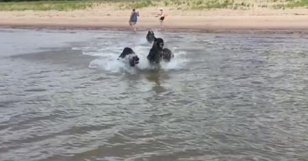 Zapowiada się prawdziwie upalny weekend