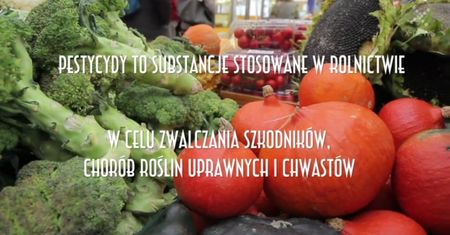Owoce i warzywa najbardziej skażone pestycydami