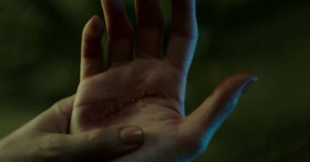 Rings (2016)