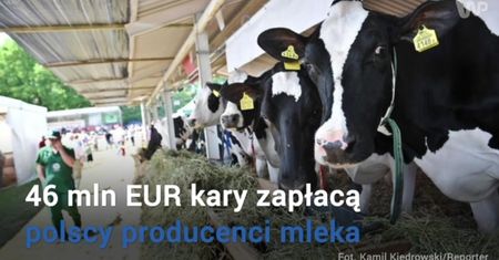Problemy polskich rolników