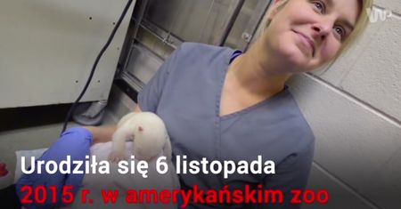 Poznajcie Norę, misia polarnego, którego odrzuciła matka
