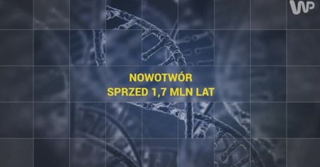 Nowotwór sprzed 1,7 mln lat [Pixel]