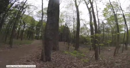 Psotny szop pracz ukradł kamerę GoPro. Co chciał z nią zrobić?