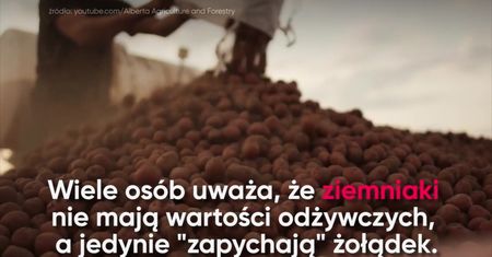 Czego nie wiesz o ziemniakach