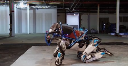 Robot akrobata