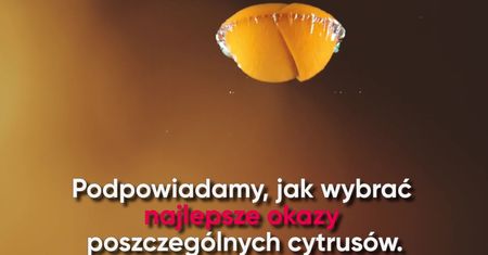 Smaczne i zdrowe: jak wybrać najlepsze cytrusy