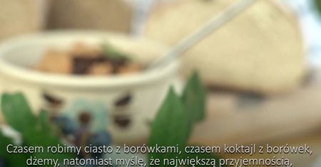 Pomysł na biznes: Borówkowe domki