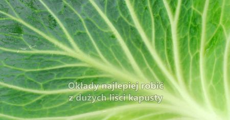 Dlaczego warto stosować okłady z liści kapusty?