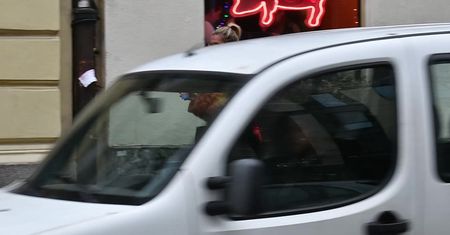 Doda i Kubicka plotkują w sklepie. Nowe przyjaciółki?