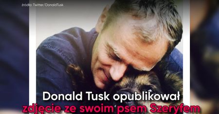 Politycy ze zwierzętami. Wystarczyło jedno zdjęcie Tuska