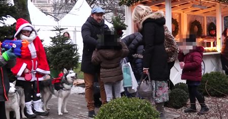 Szyc opanowany przez świąteczną gorączkę zakupów