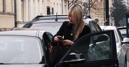 Ogórek pozuje przy parkometrze z dodatkami Louis Vuitton