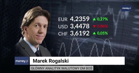 "Wciąż mamy impulsy, które złotego osłabiają"