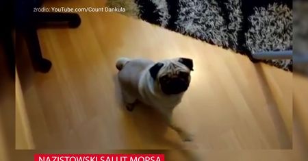 Chciał podrażnić się ze swoją dziewczyną. Wybrał fatalny sposób
