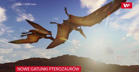 Nowe gatunki pterozaurów