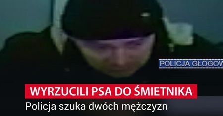 Wyrzucili szczeniaka do śmietnika. Nagrała ich kamera