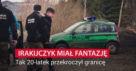 Irakijczyk dostał się do Polski po ściętym drzewie