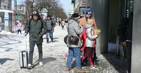 Rogi Sarsy wróciły. Wygląda lepiej?
