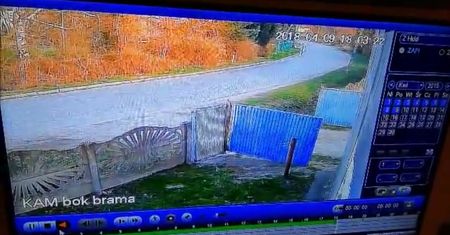 Pijany kierowca niemal rozjechał rowerzystkę. Skończył rajd na słupie