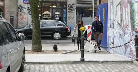 Rusin wesoło spaceruje z Czarkiem i żonkilami