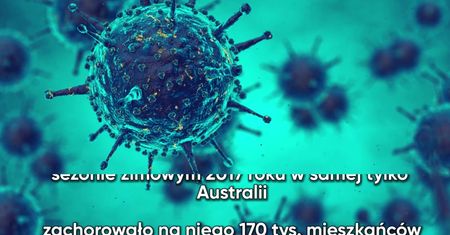 Europejczykom zagraża nowy rodzaj grypy. Wirus dotarł z Australii