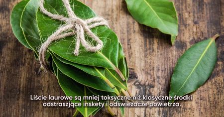 Podpal liść laurowy i zostaw go na 10 minut. Zobacz co się stanie