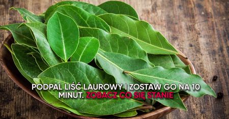 Podpal liść laurowy i zostaw go na 10 minut. Zobacz co się stanie