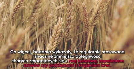 Terapia sianem dla zestresowanych