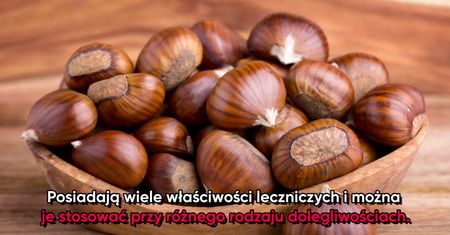 Jadalne kasztany - właściwości