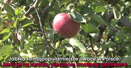 Inne zastosowanie jabłek