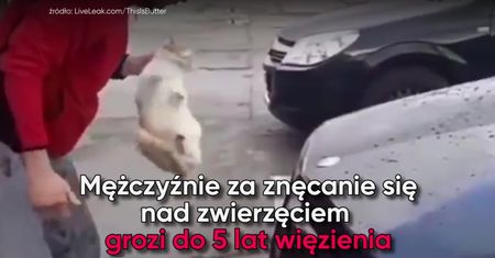 Chciał zemścić się na kocie. Umył nim samochód