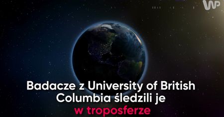 Miliony wirusów w ziemskiej atmosferze