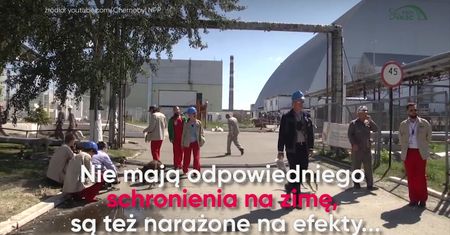 W Czarnobylu żyje blisko 1000 bezpańskich psów