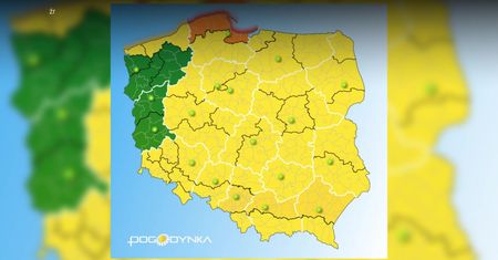 Ostrzeżenia pogodowe. Silny wiatr w całej Polsce
