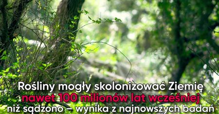 Najstarsze rośliny na Ziemi mają nawet 500 mln lat