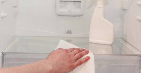 Sprzątanie lodówki bez chemii