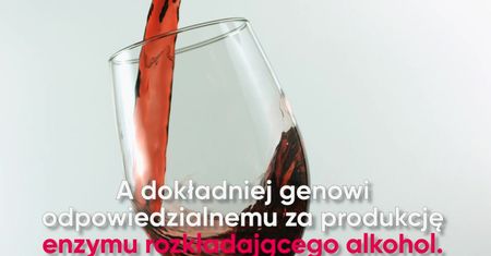 Dopada cię czasem "kac gigant". Badacze: to wina ewolucji