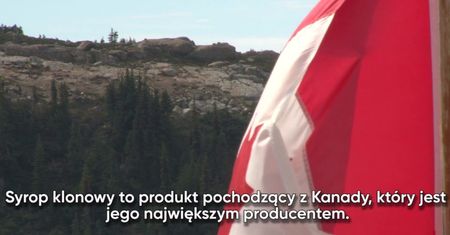 Co jest zdrowsze: miód czy syrop klonowy?