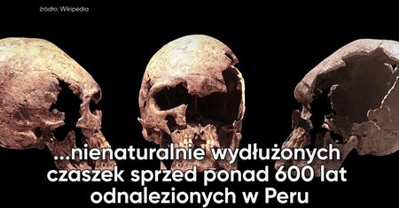 Kształt głowy wyznacznikiem statusu społecznego?