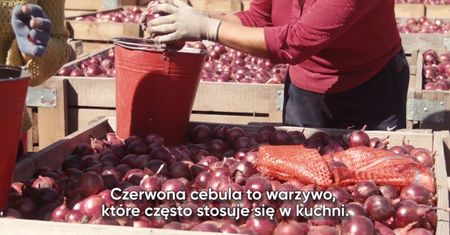 Dlaczego warto jeść czerwoną cebulę?