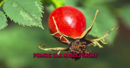 4 powody, dla których warto pić napar z dzikiej róży