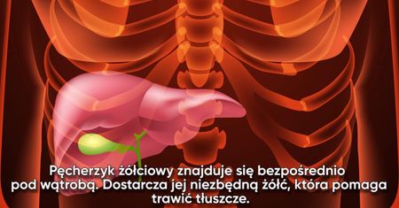 4 objawy raka woreczka żółciowego, które łatwo zignorować