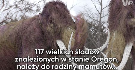 43 tysiące lat pod ziemią. Dopiero teraz naukowcy zrozumieli, co oznacza to odkrycie